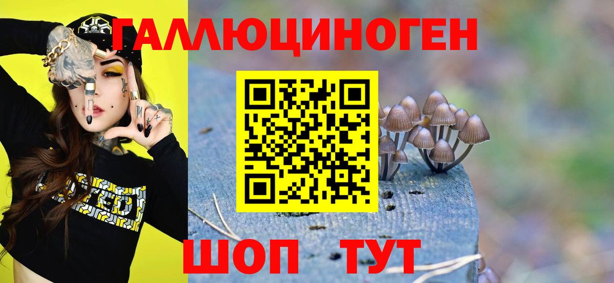 Псилоцибиновые грибы прущие грибы  Псилоцибиновые грибы мухоморы  Сатка  Вход с VPN 